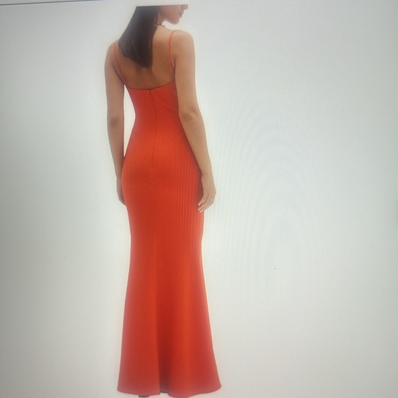 Rachel Gilbert - Picture 2 of 4